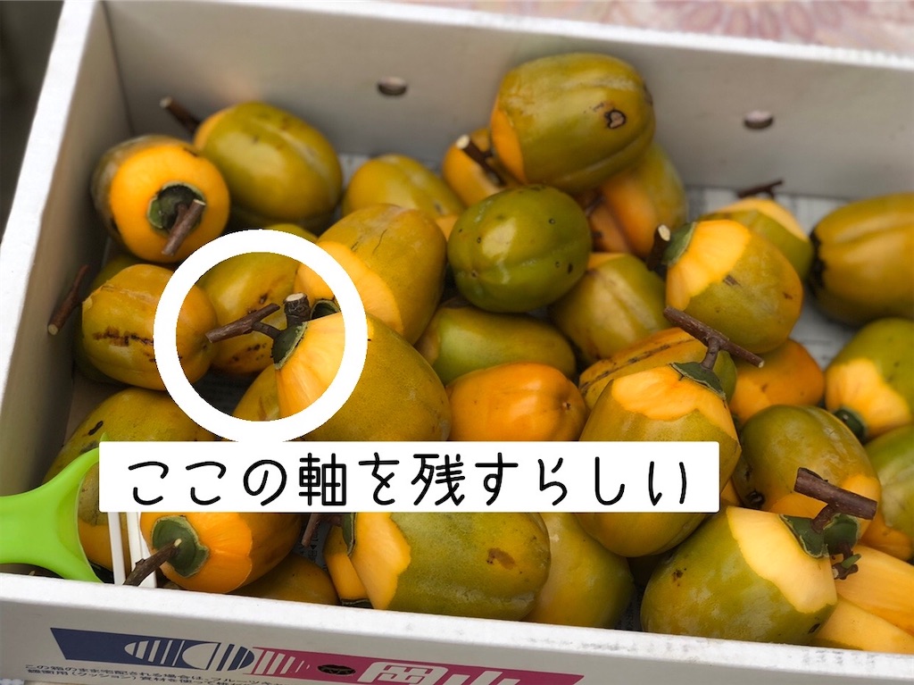 f:id:renkunno:20221011232019j:image f:id:renkunno:20221011232019j:image