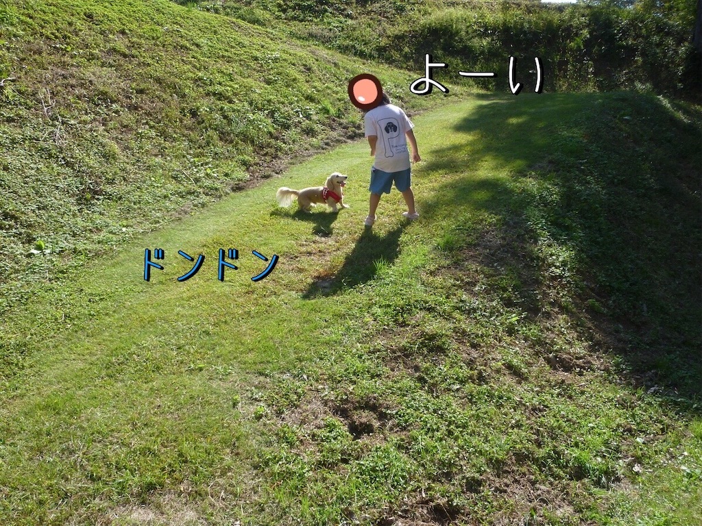f:id:renkunno:20221019213143j:image f:id:renkunno:20221019213143j:image