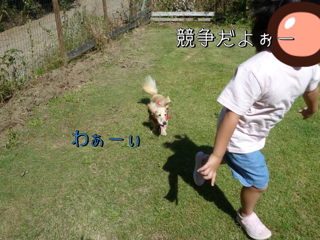 f:id:renkunno:20221019213200j:image f:id:renkunno:20221019213200j:image