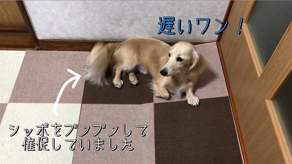 f:id:renkunno:20221019225701j:image f:id:renkunno:20221019225701j:image