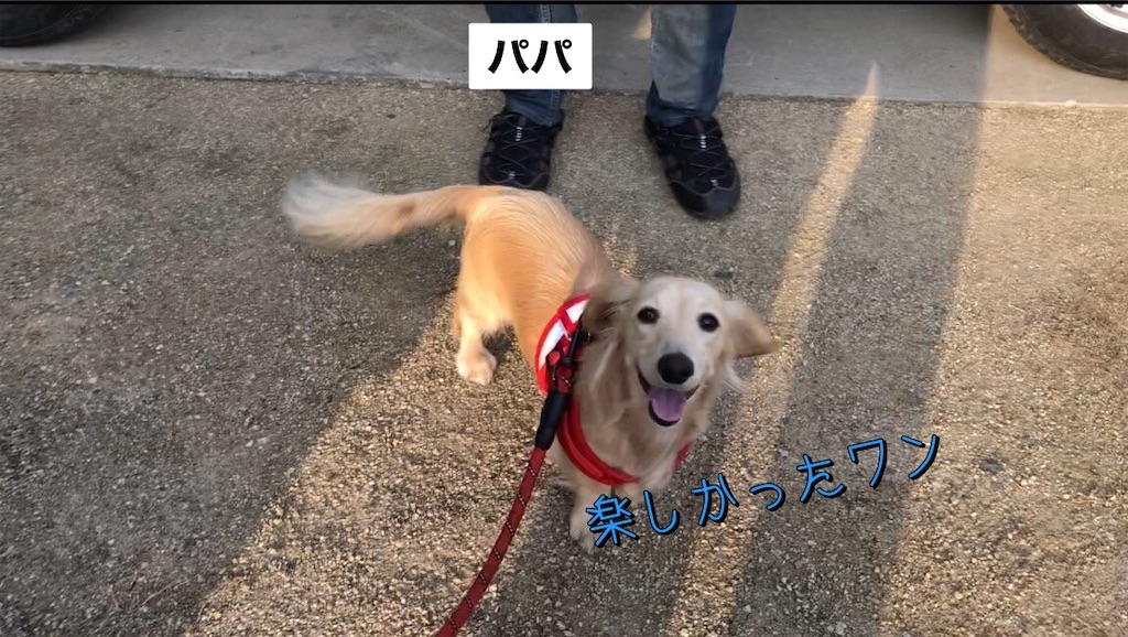 f:id:renkunno:20221024165754j:image