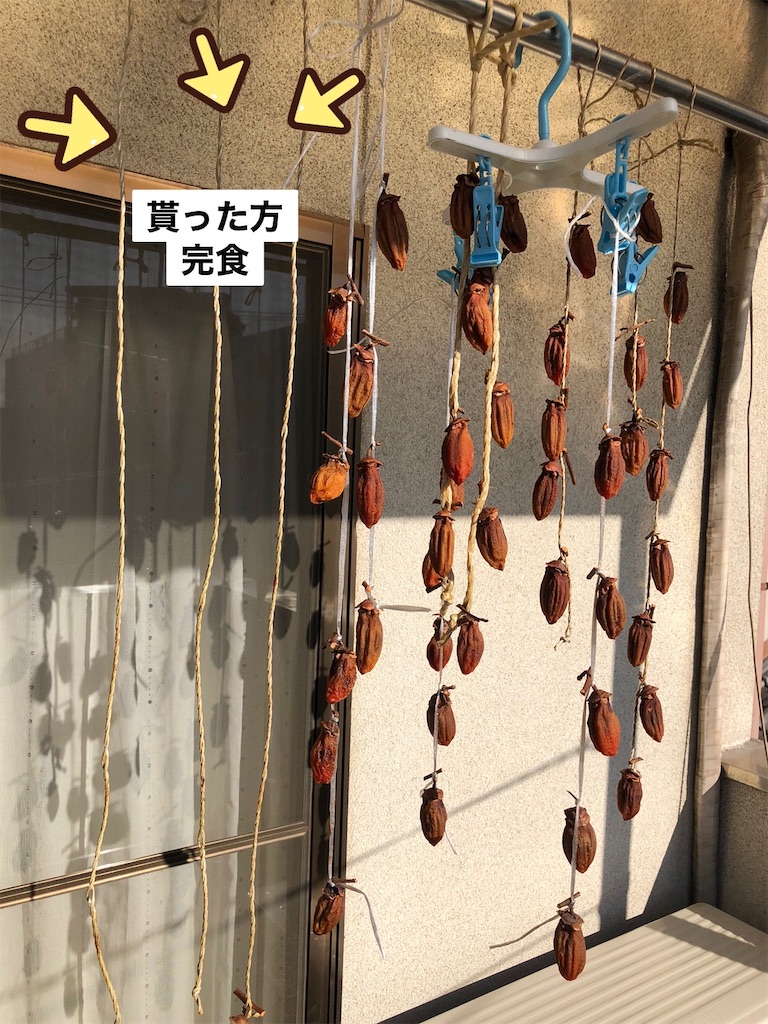 f:id:renkunno:20221105091243j:image f:id:renkunno:20221105091243j:image