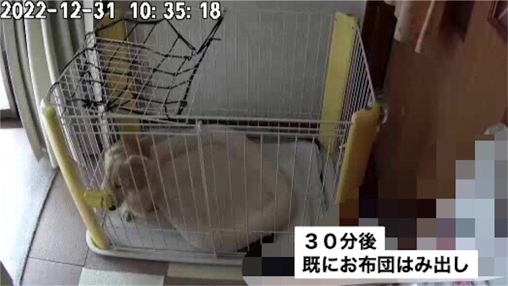 f:id:renkunno:20230103215229j:image