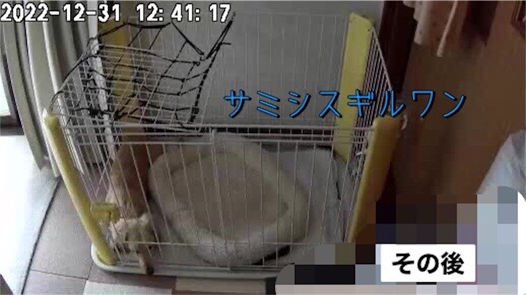 f:id:renkunno:20230103215232j:image