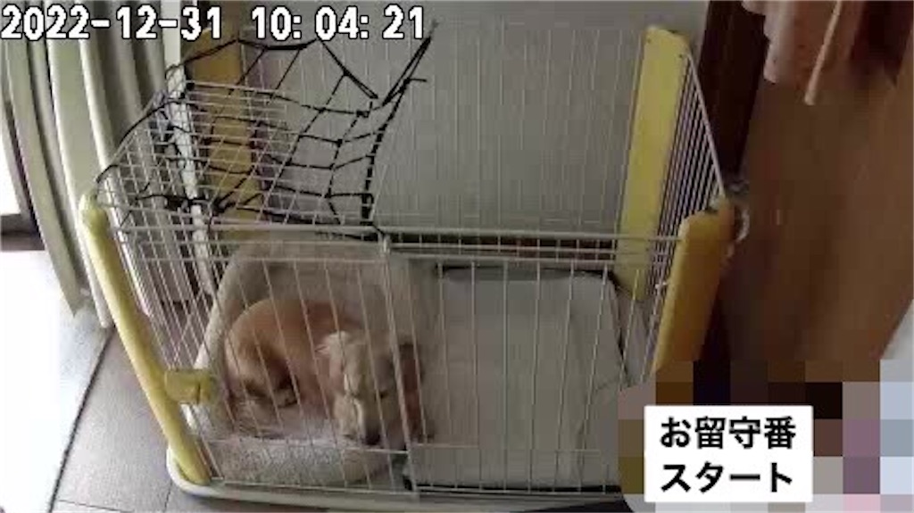 f:id:renkunno:20230103215239j:image
