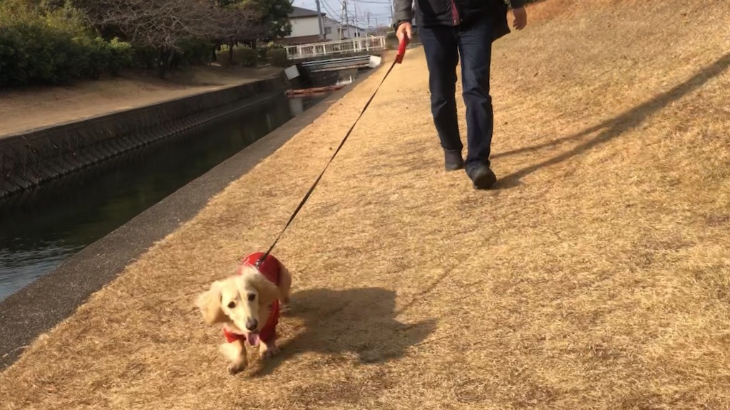 f:id:renkunno:20230104220733j:image