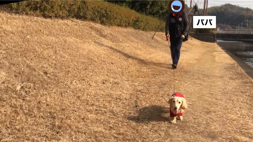 f:id:renkunno:20230104220737j:image