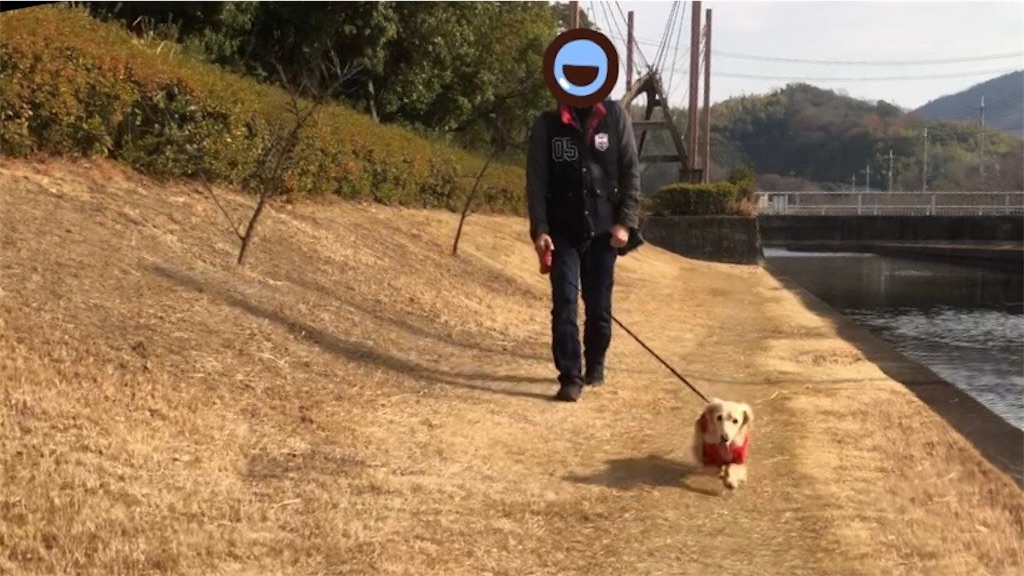 f:id:renkunno:20230104220747j:image