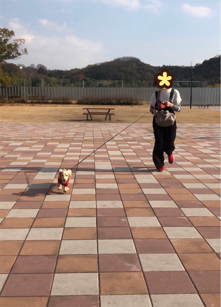 f:id:renkunno:20230104220922j:image