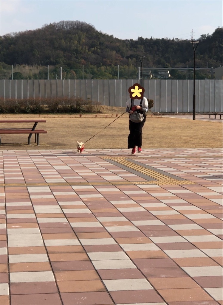 f:id:renkunno:20230104220925j:image