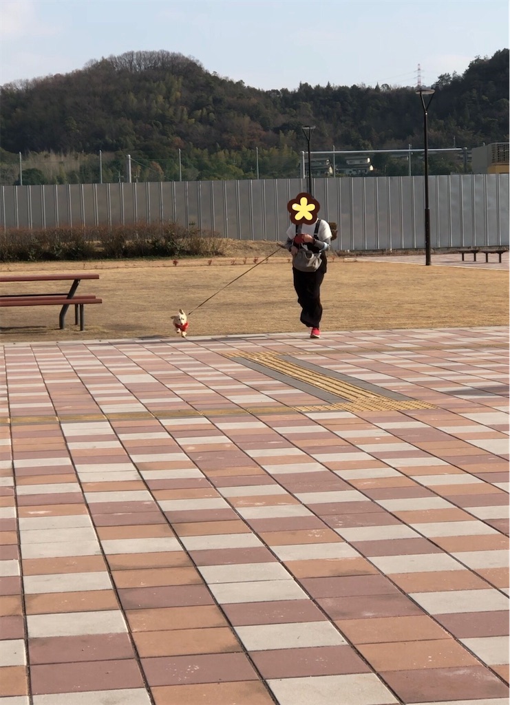 f:id:renkunno:20230104220928j:image