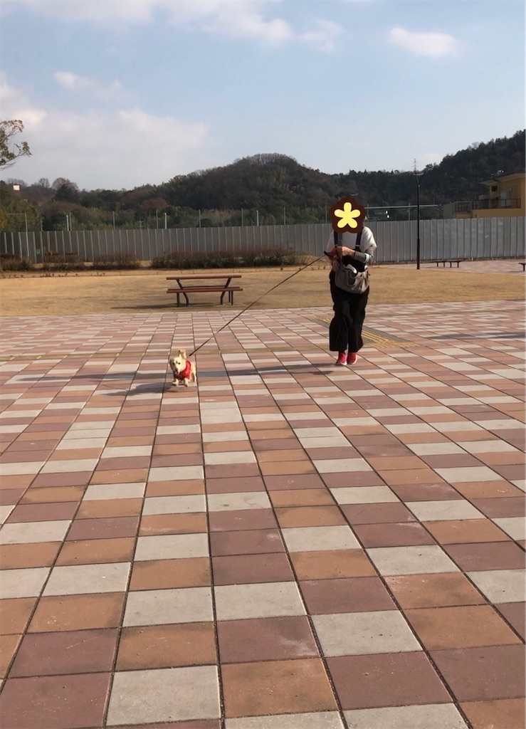 f:id:renkunno:20230104220932j:image