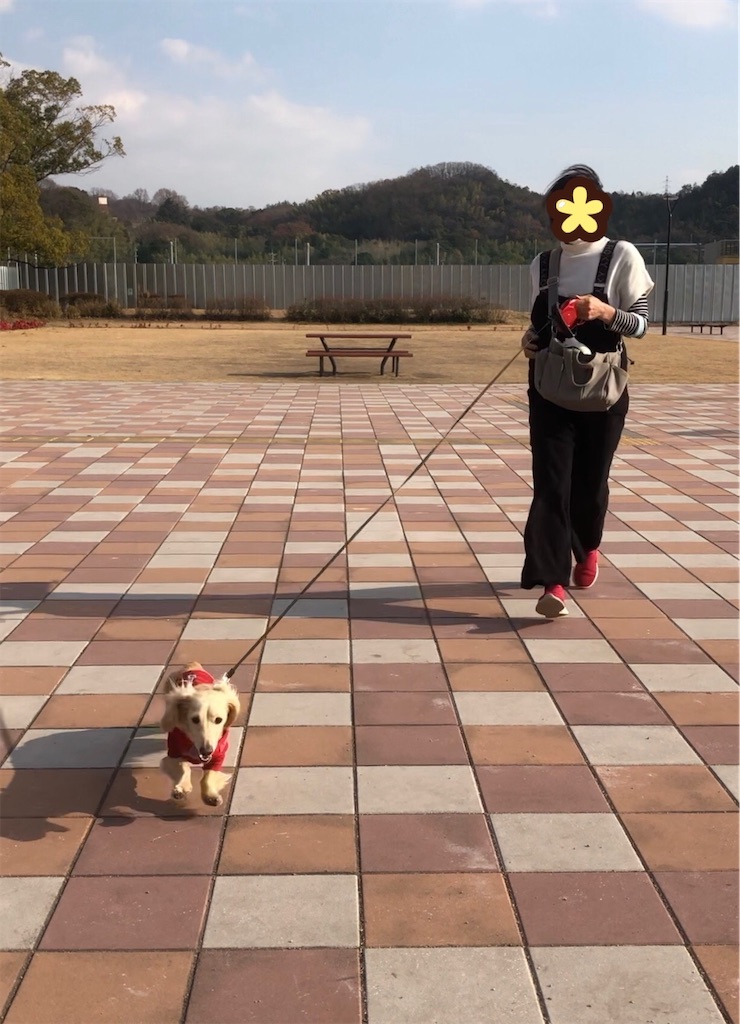 f:id:renkunno:20230104220936j:image