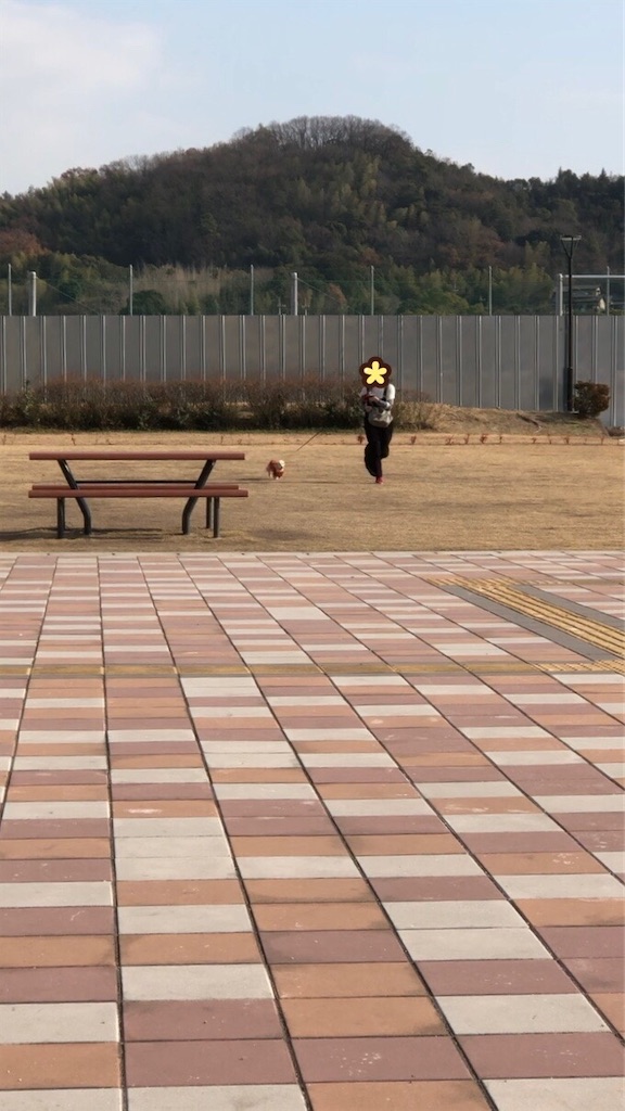 f:id:renkunno:20230104222230j:image