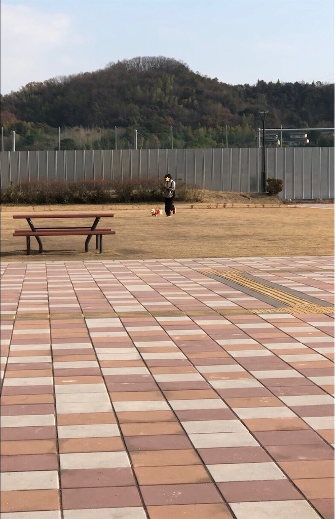 f:id:renkunno:20230104222233j:image