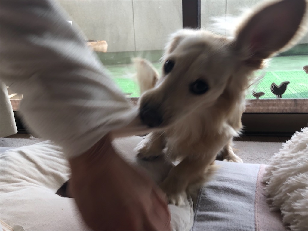 f:id:renkunno:20230106143755j:image