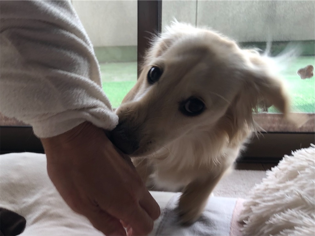f:id:renkunno:20230106143828j:image