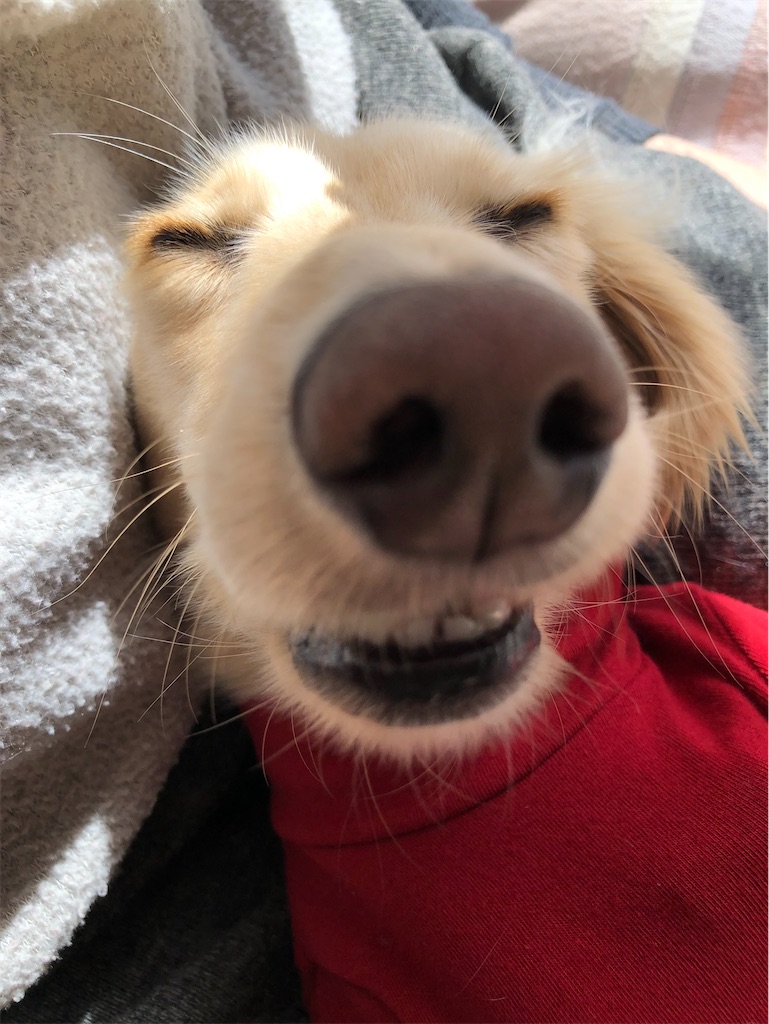 f:id:renkunno:20230117132438j:image f:id:renkunno:20230117132438j:image