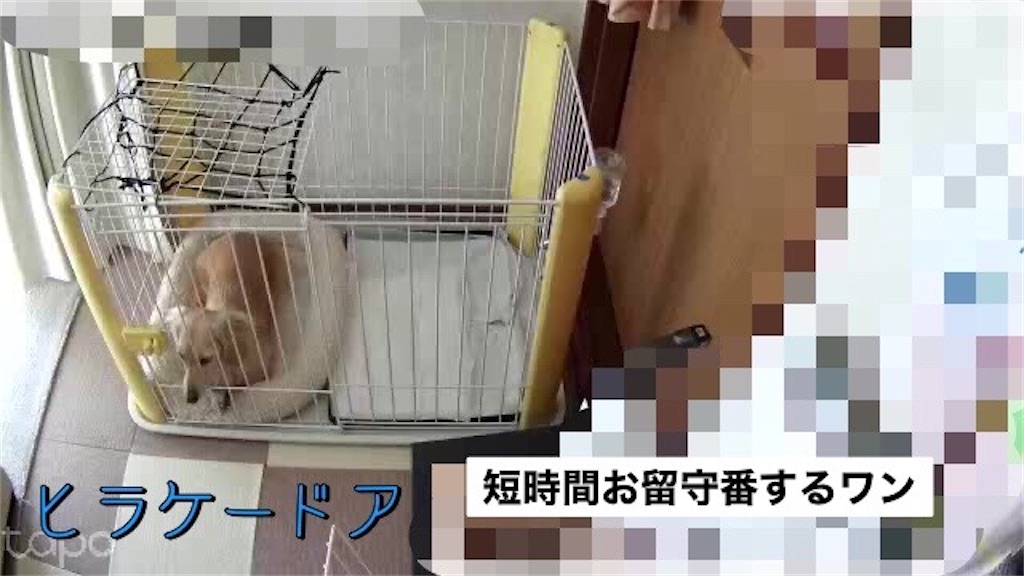 f:id:renkunno:20230119160852j:image f:id:renkunno:20230119160852j:image