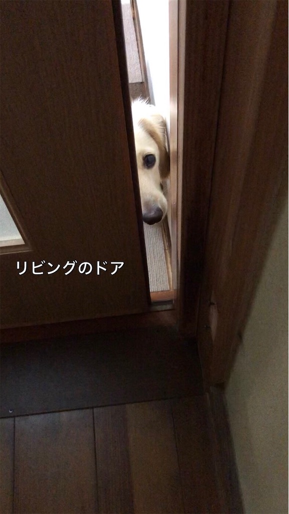 f:id:renkunno:20230120094437j:image