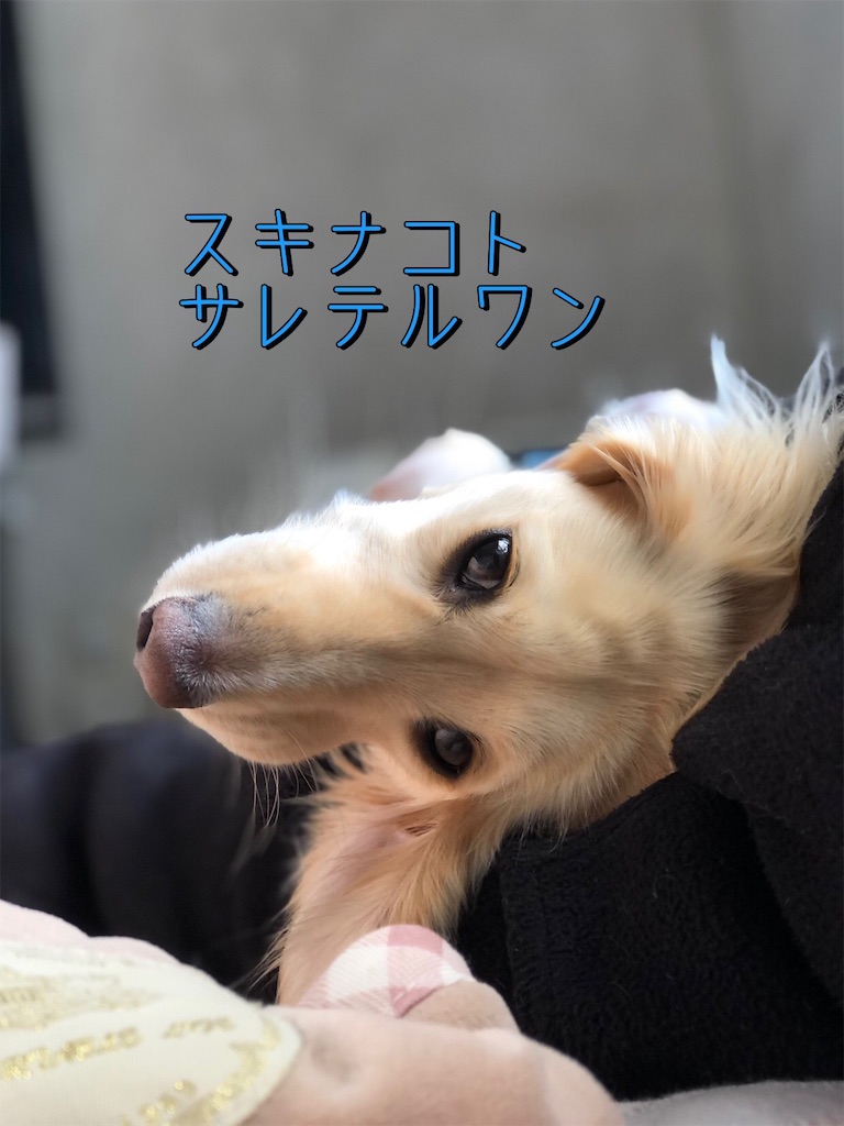 f:id:renkunno:20230128165705j:image f:id:renkunno:20230128165705j:image
