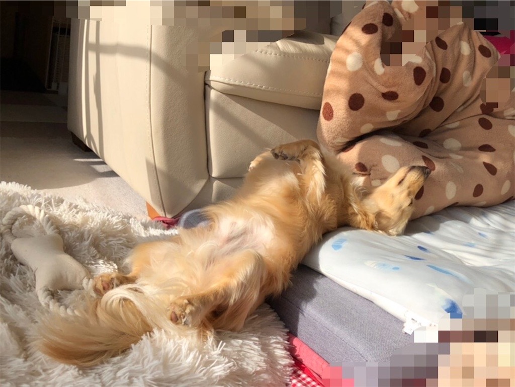 f:id:renkunno:20230129164548j:image