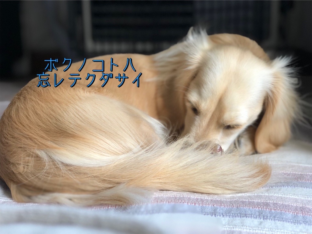 f:id:renkunno:20230203145915j:image f:id:renkunno:20230203145915j:image