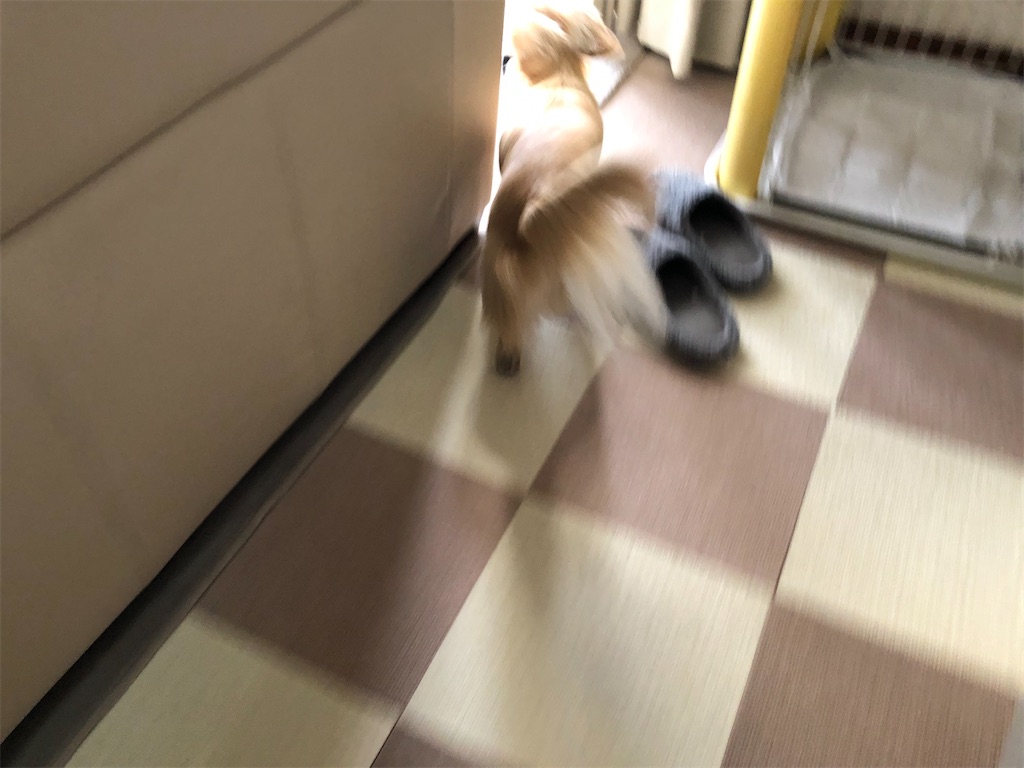 f:id:renkunno:20230204130029j:image