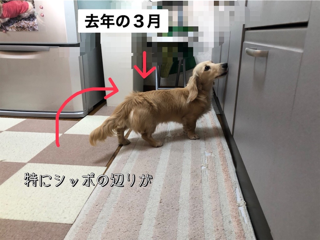 f:id:renkunno:20230207163929j:image