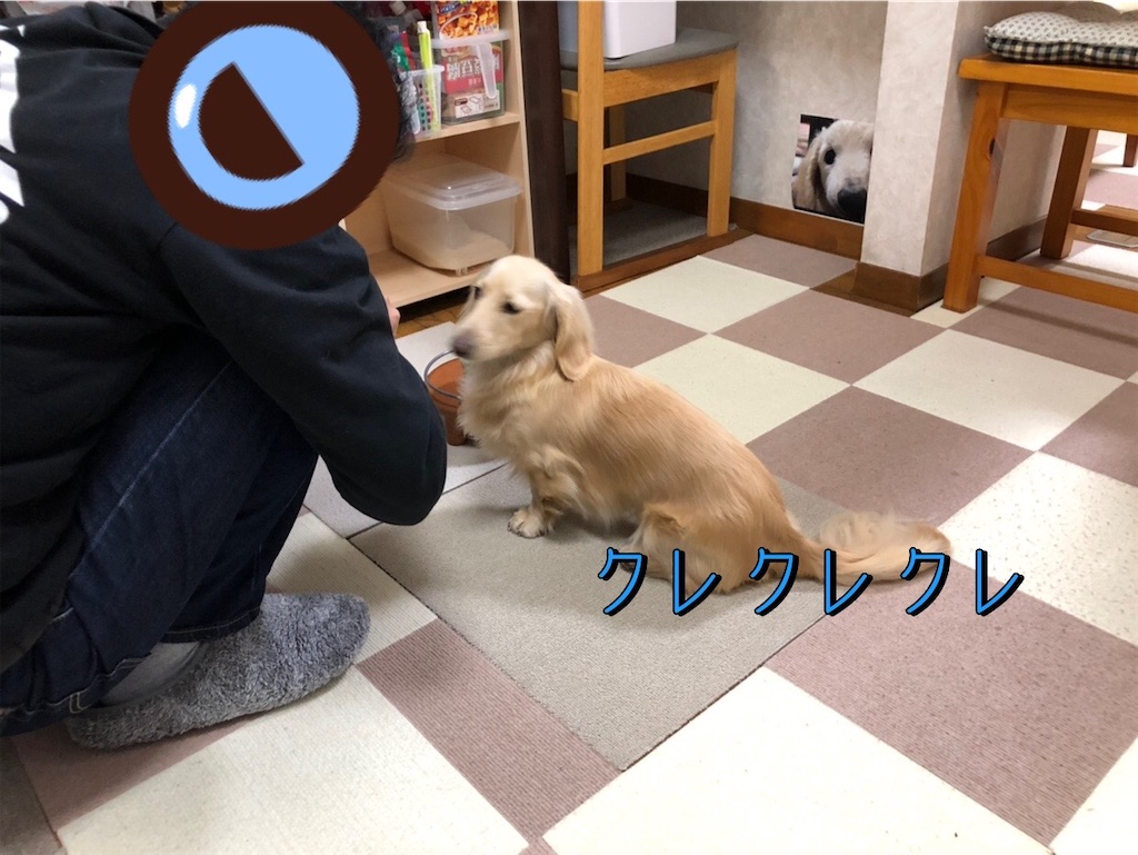 f:id:renkunno:20230209222319j:image