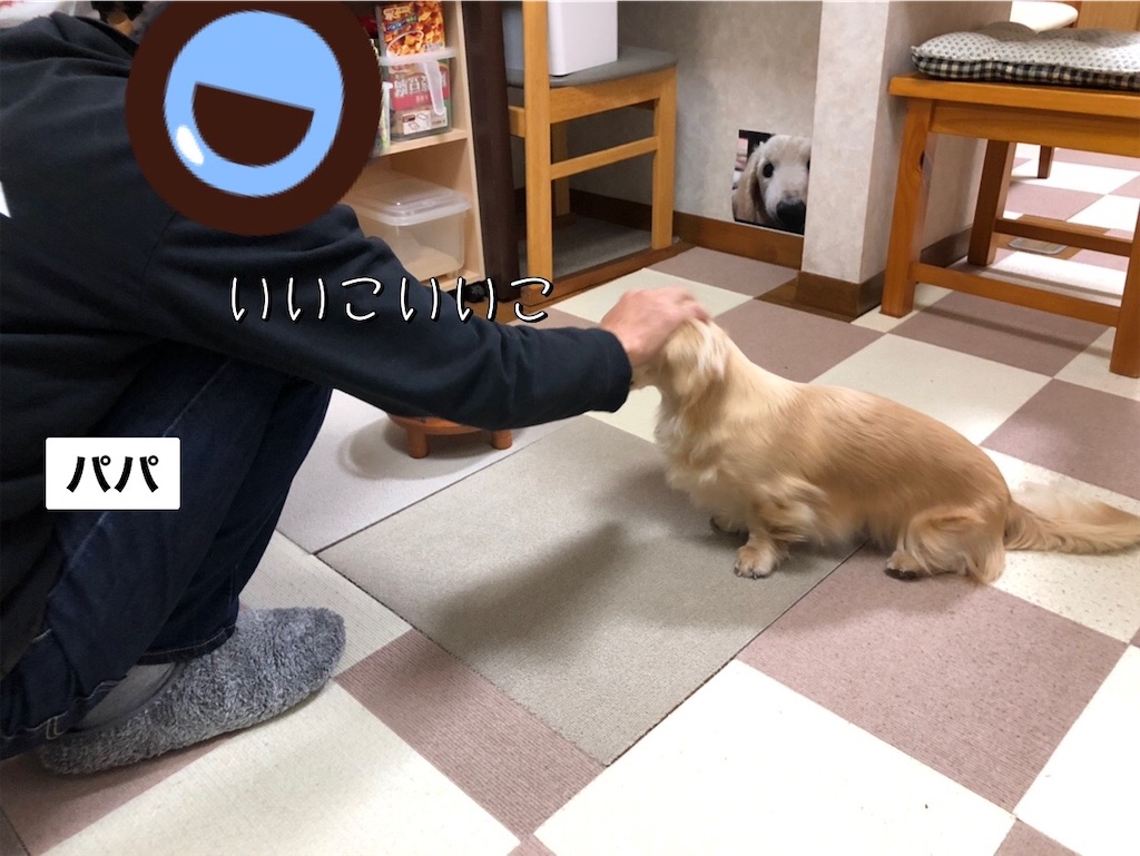 f:id:renkunno:20230209222322j:image