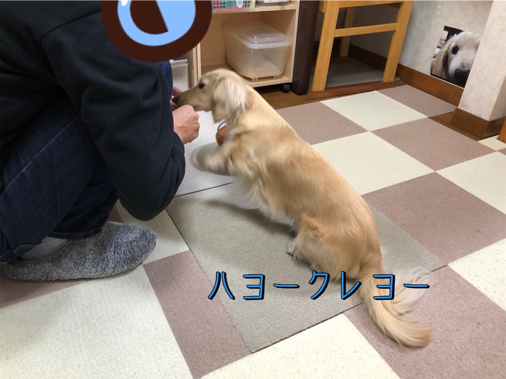 f:id:renkunno:20230209222325j:image