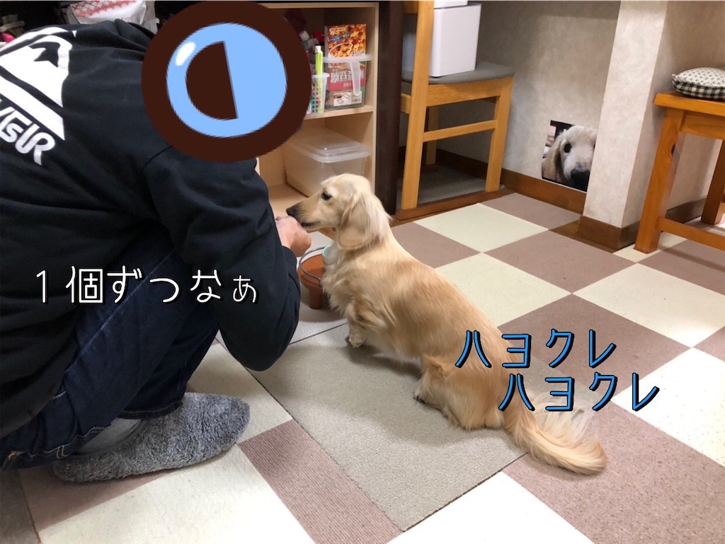f:id:renkunno:20230209222329j:image