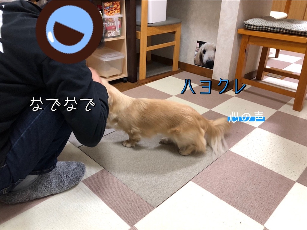 f:id:renkunno:20230209222332j:image