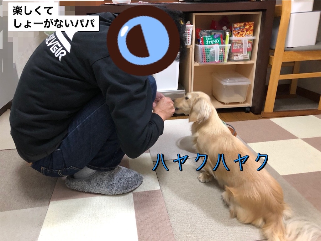 f:id:renkunno:20230209222336j:image