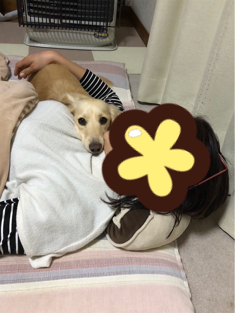 f:id:renkunno:20230210143341j:image