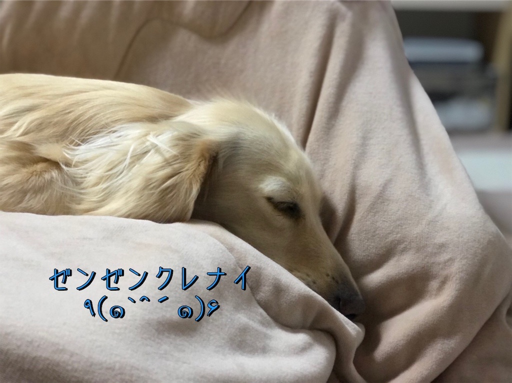 f:id:renkunno:20230214213636j:image