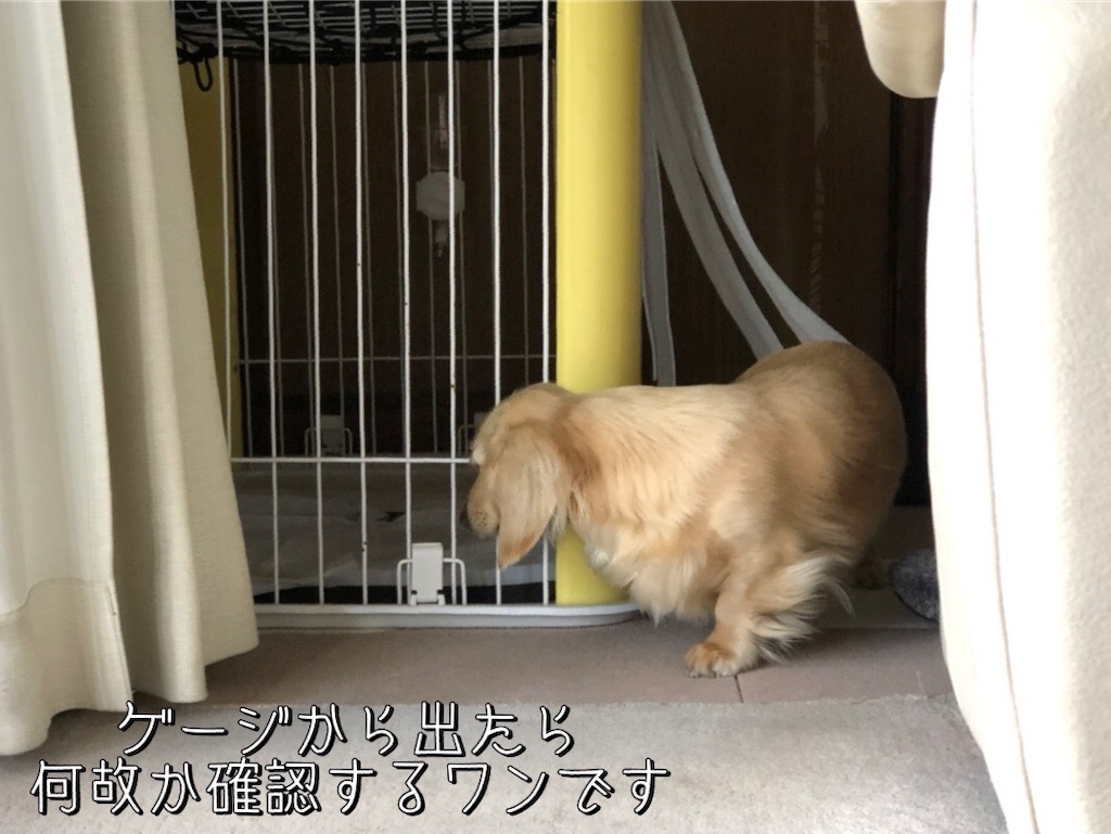 f:id:renkunno:20230219165557j:image