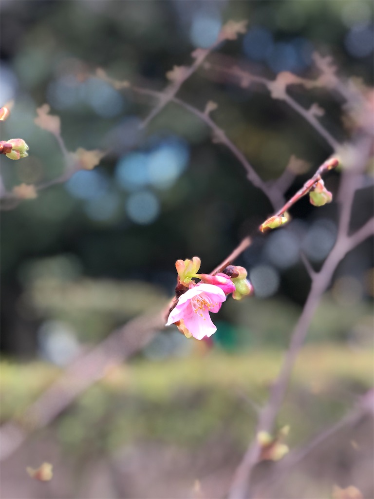 f:id:renkunno:20230221134609j:image f:id:renkunno:20230221134609j:image