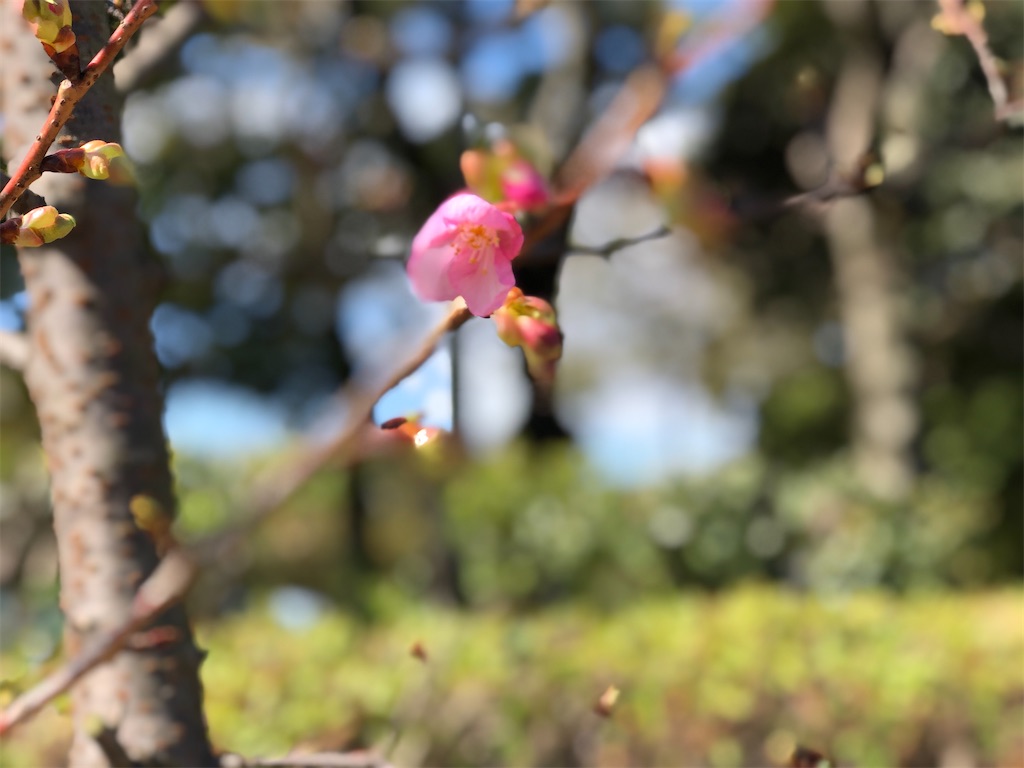 f:id:renkunno:20230221135159j:image f:id:renkunno:20230221135159j:image