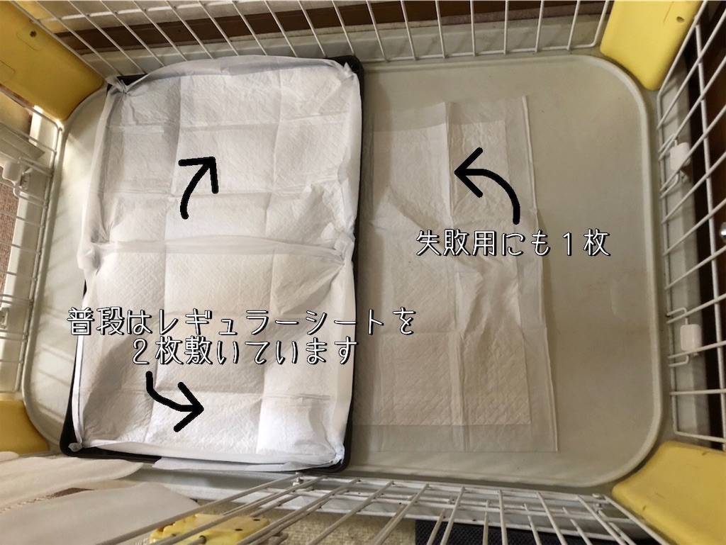 f:id:renkunno:20230224115844j:image