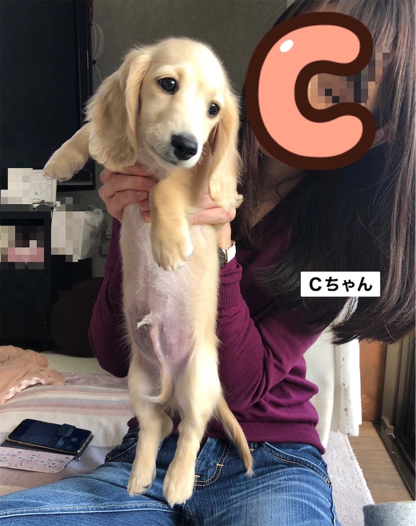f:id:renkunno:20230224130524j:image f:id:renkunno:20230224130524j:image