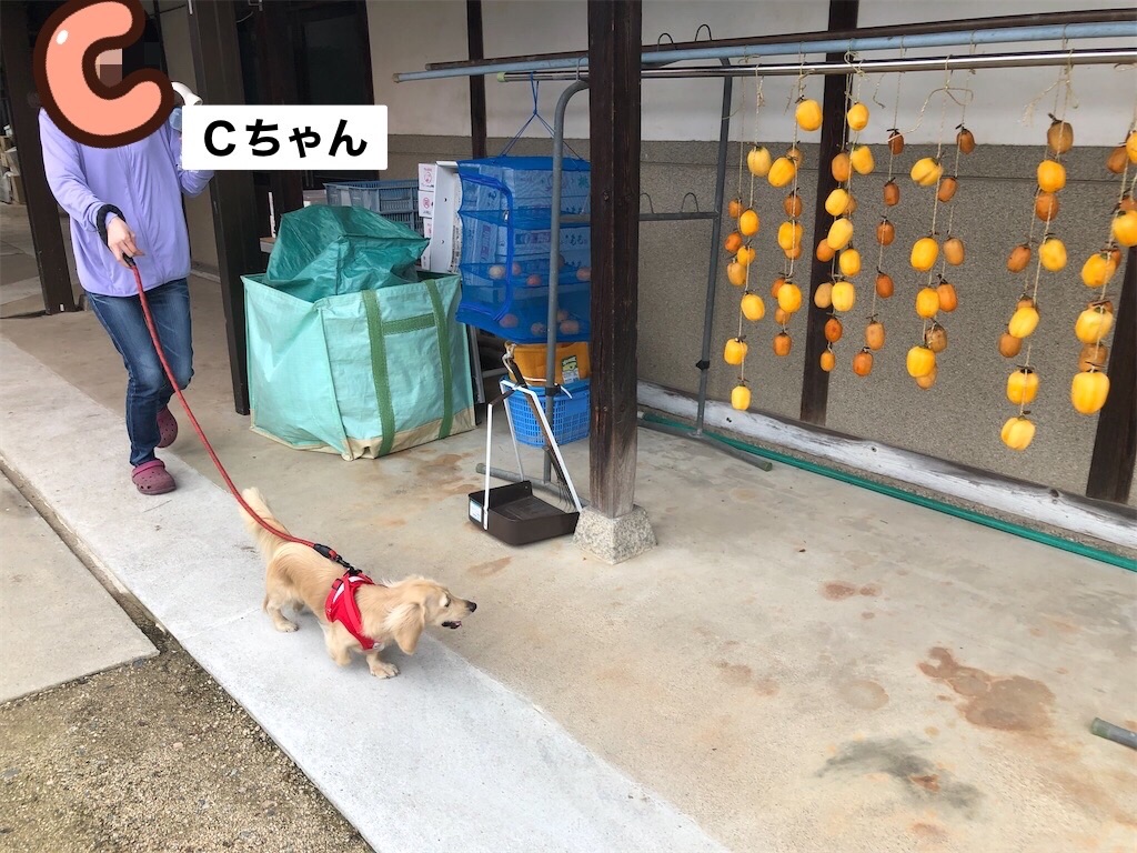 f:id:renkunno:20230224130703j:image f:id:renkunno:20230224130703j:image