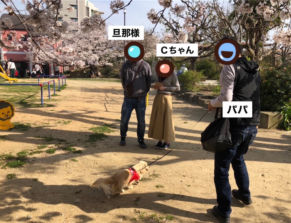 f:id:renkunno:20230402085846j:image