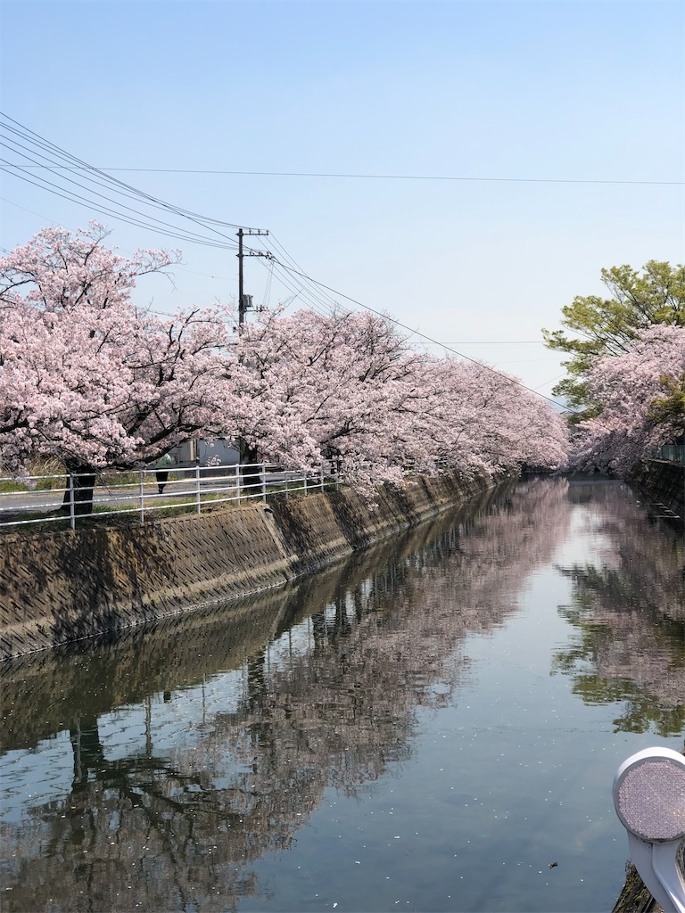 f:id:renkunno:20230404165512j:image