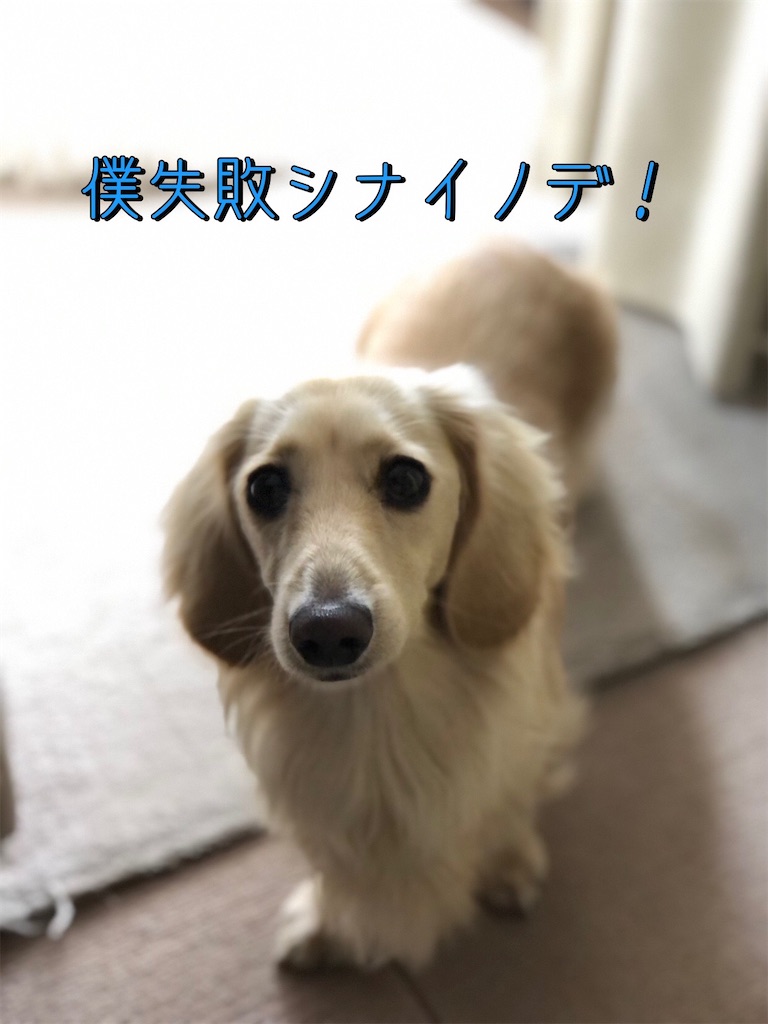 f:id:renkunno:20230405112104j:image