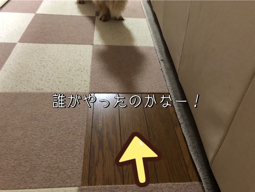 f:id:renkunno:20230409220819j:image f:id:renkunno:20230409220819j:image