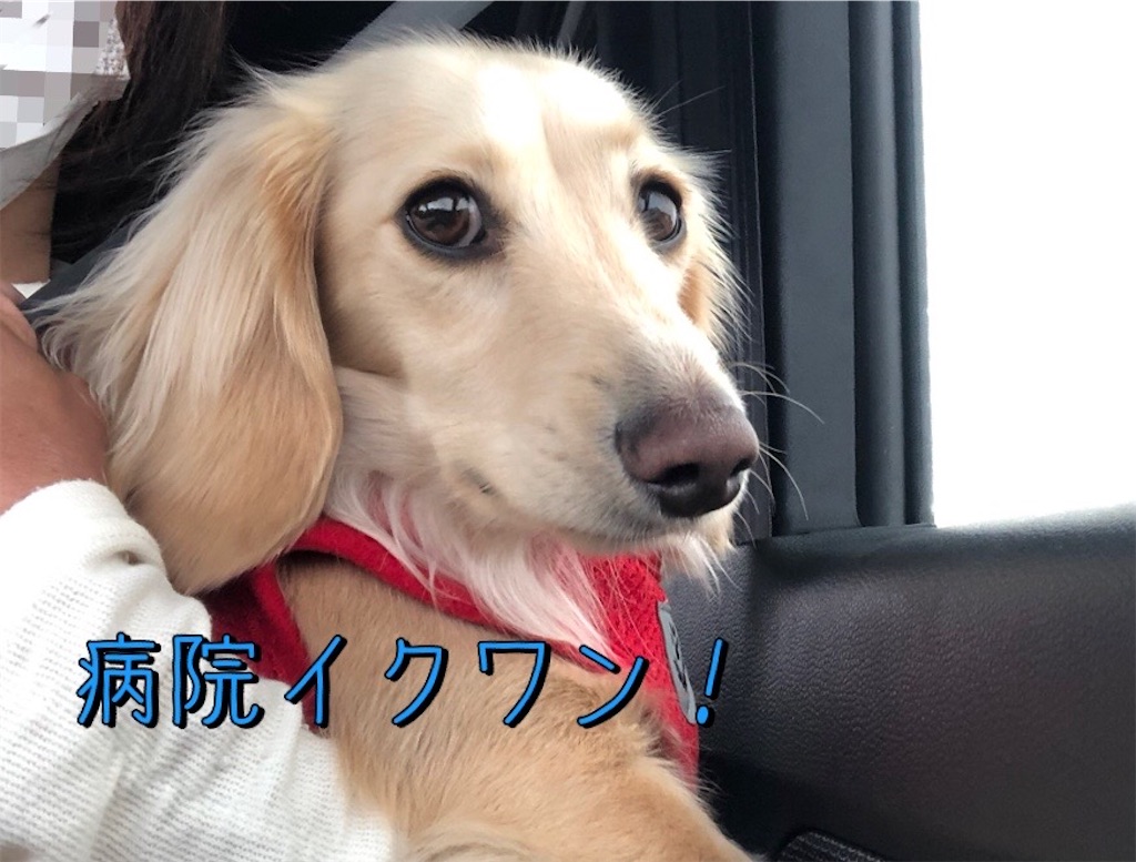 f:id:renkunno:20230412125527j:image