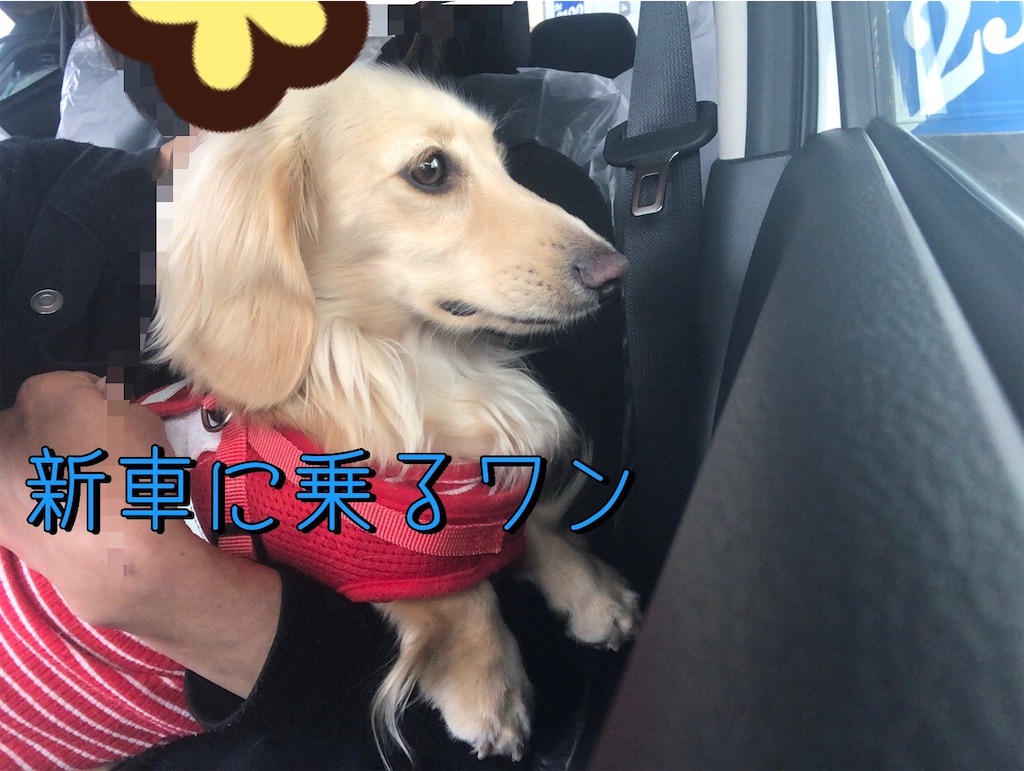 f:id:renkunno:20230426190652j:image f:id:renkunno:20230426190652j:image
