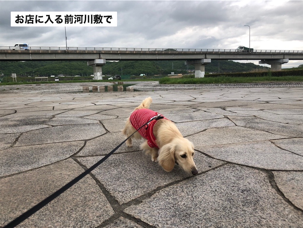 f:id:renkunno:20230426204207j:image f:id:renkunno:20230426204207j:image